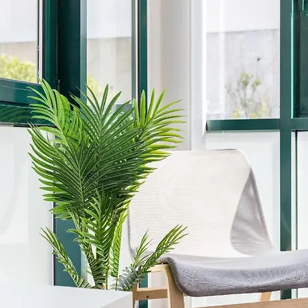 Apartment Stunning And Spacious Lofts Just By Graca And Alfama